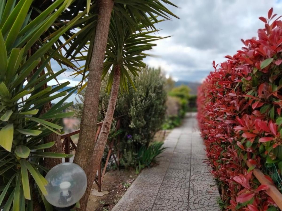 Sguardo Sul Lago Trevignano Romano Zewnętrze zdjęcie